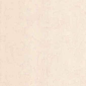 02555-22