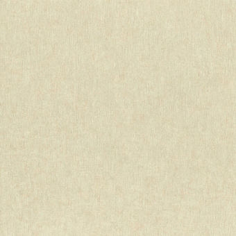 77881
