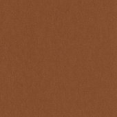 Erismann Grace 2014 5744-48