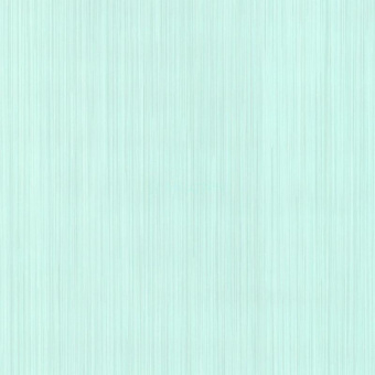 02484-50