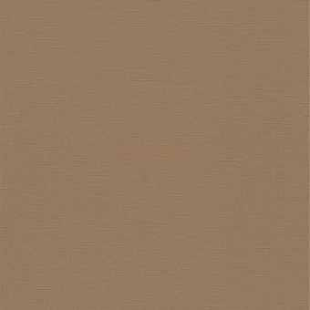 02504-80