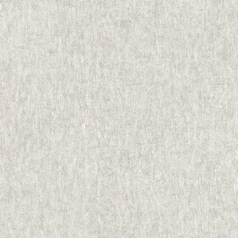56017